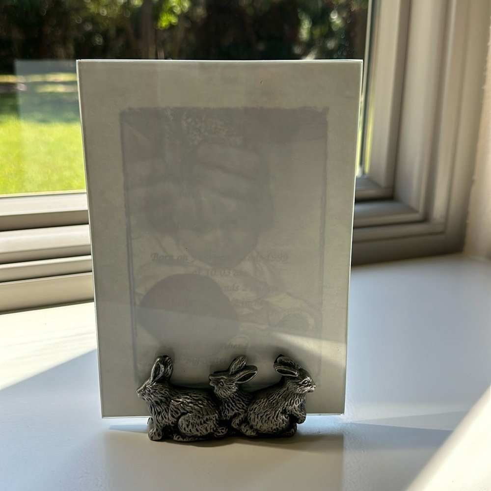Picture frame 5 x 7, double sided frameless glass with sit in bunny stand.
